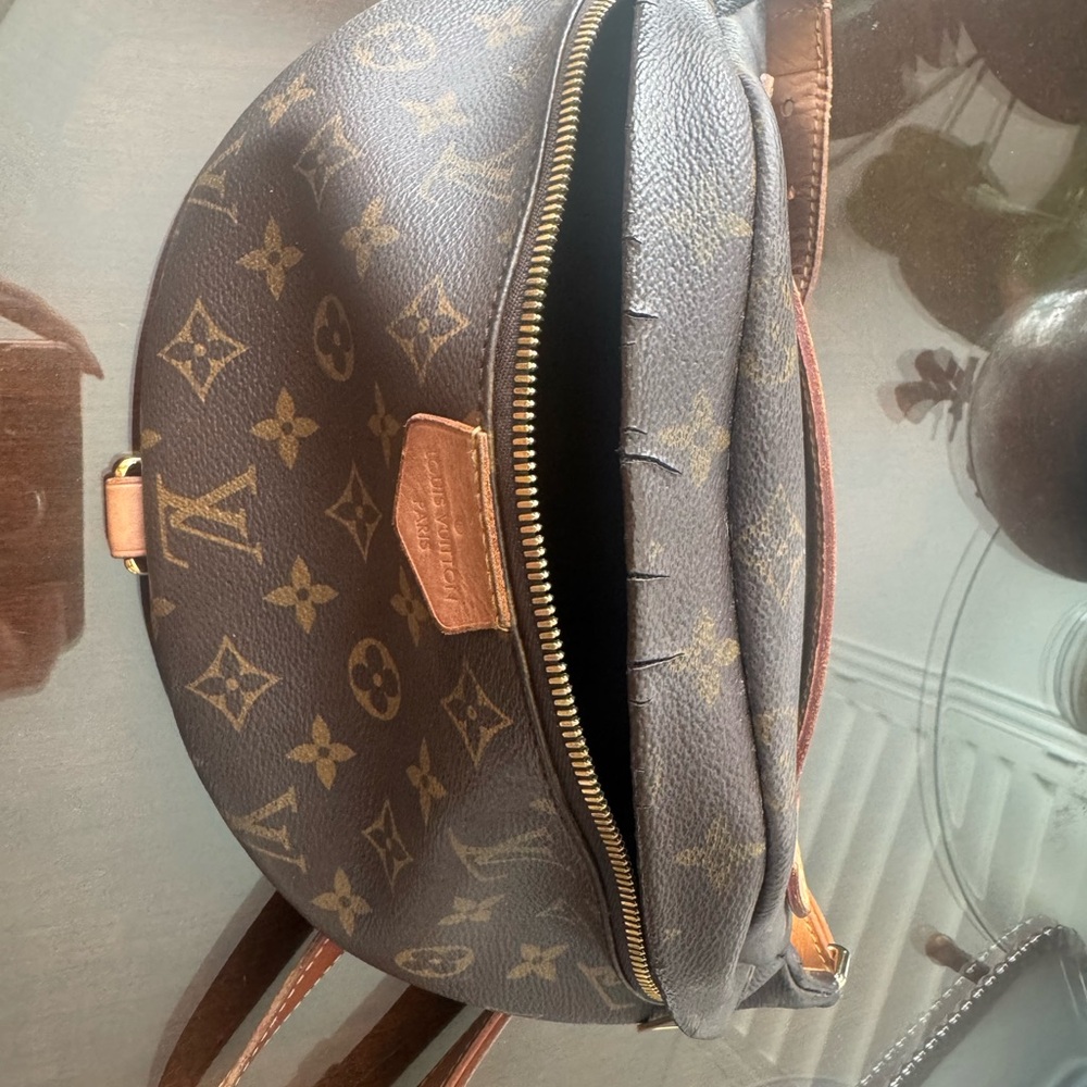 Louis Vuitton Brown Monogram Crossbody Bag

Bumbag Monogram